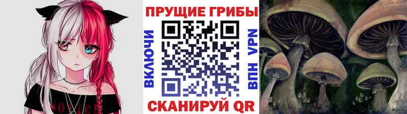 Псилоцибиновые грибы ЛСД  Купить где  Ишимбай 